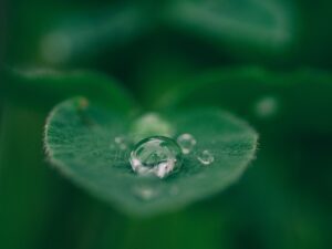 Entrevista sobre digitalización Agua de Mayo